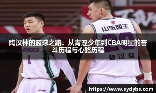 陶汉林的篮球之路：从青涩少年到CBA明星的奋斗历程与心路历程
